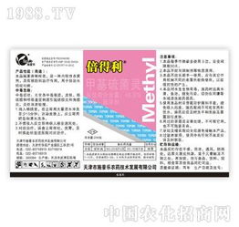 施普樂速白美齒組 6天連續(xù)使用，科技點(diǎn)亮美白笑容