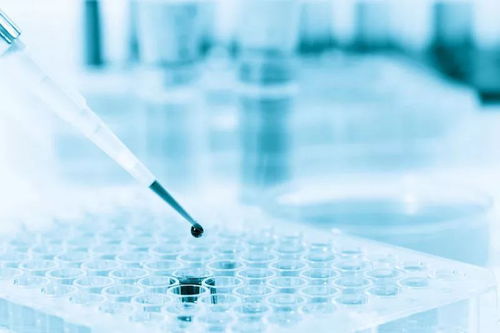 美國生物科技公司Counsyl獲8000萬美元融資，加速臨床級產前基因篩查推廣