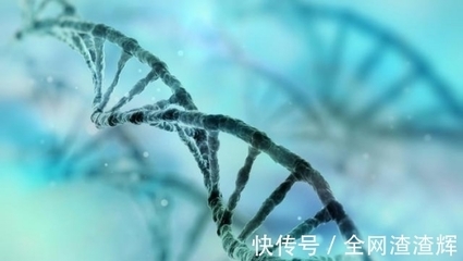滅絕計劃還是生物革命？美國釋放10億基因改造蚊子的全球影響